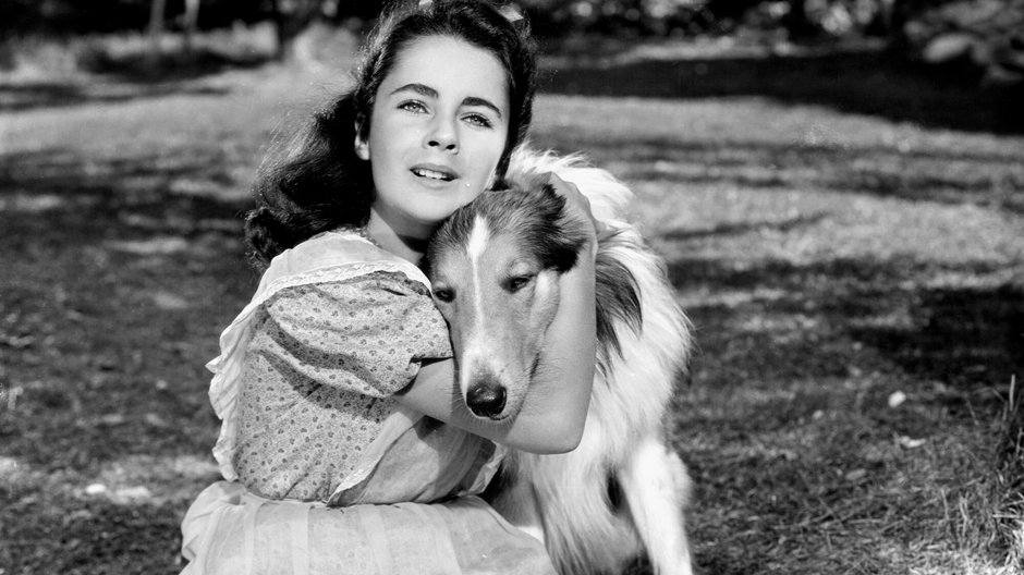 Elizabeth Taylor w filmie "Lassie wróć"