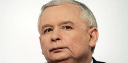 Kaczyński karmi nowego kota winogronami