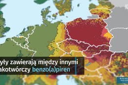 Polska oddycha trującym powietrzem. Jak powstaje smog