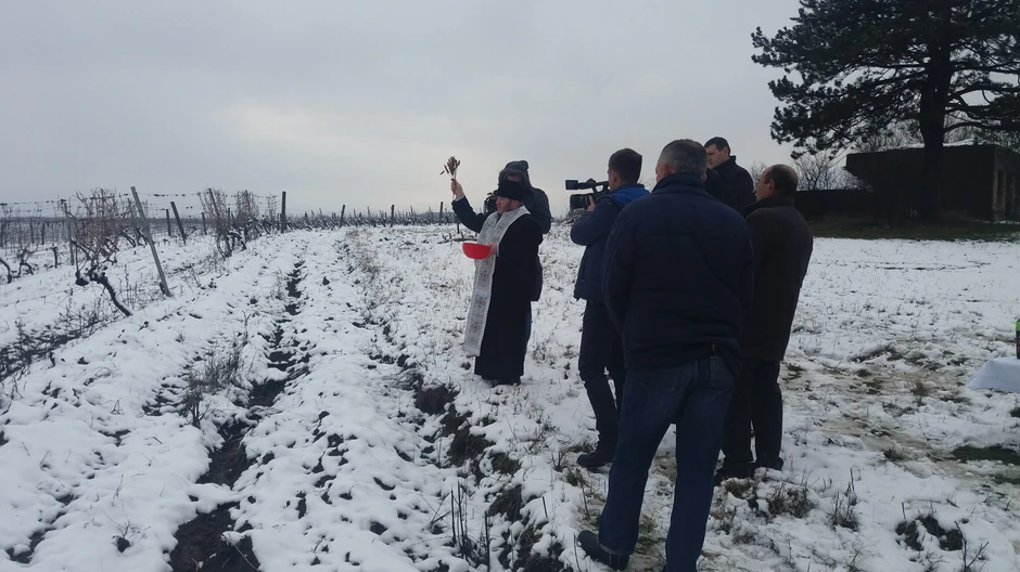 Sveti Trifun obeležen u vinariji Rubin