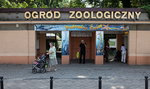 Festyn przyrodniczy w Starym Zoo
