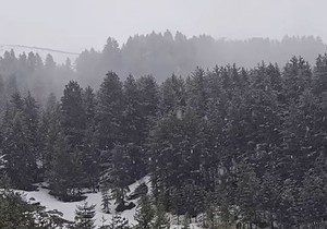 Sneg na Brezovici