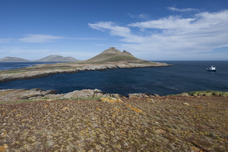 Steeple Jason Island, Falklandy