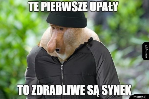 Najlepsze memy o wiośnie