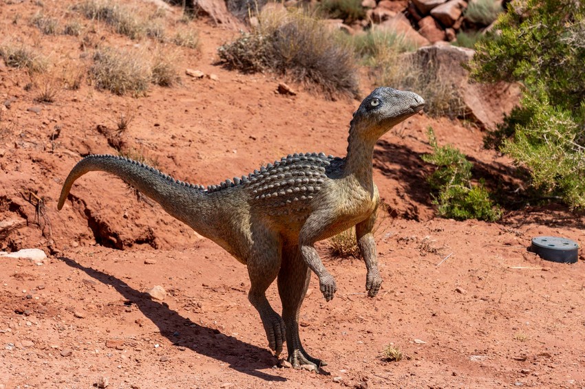 Dinosaurus