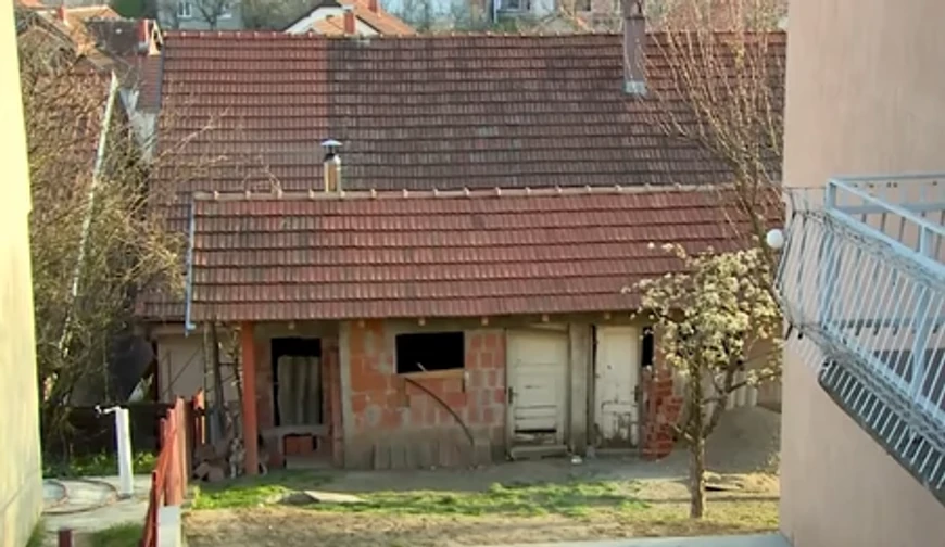 Miona Jovanović (Foto: Screenshot TV Pink)