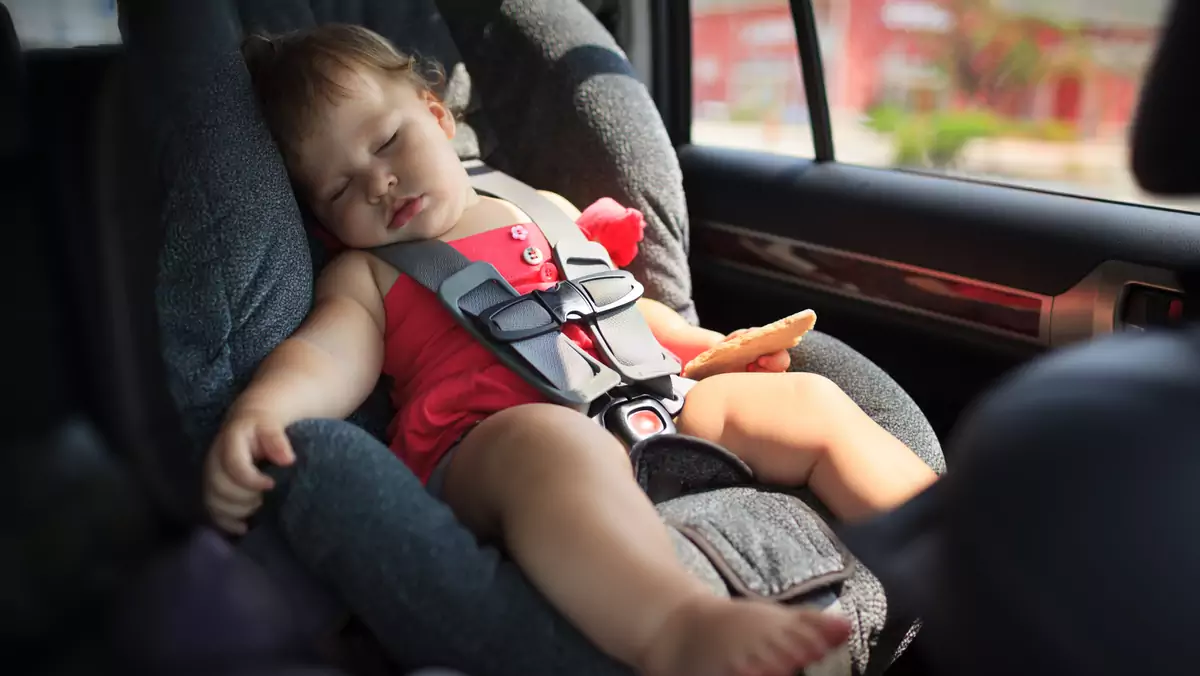 Latem i przy wysokich temperaturach powietrza pozostawienie dziecka lub zwierzęcia w nagrzanej kabinie auta grozi utratą życia
