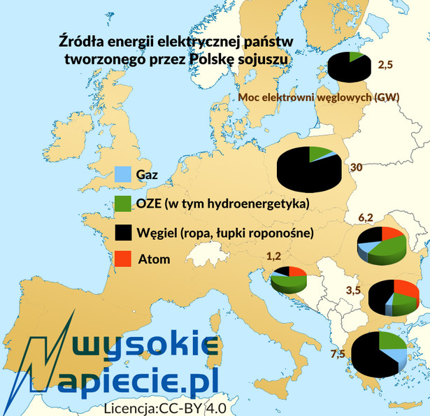 Źródła energii elektrycznej państw tworzonego przez Polskę sojuszu