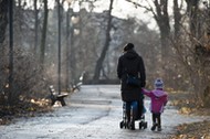 zima słońce park pogoda