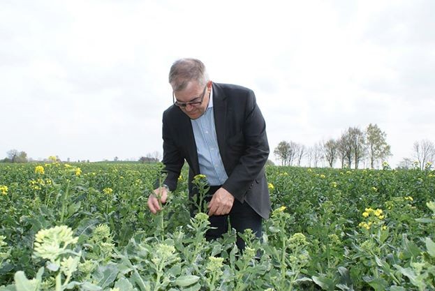 Patryk Jaki broni też kandydatury Macieja Mojzesowicza - brata Wojciecha Mojzesowicza, byłego ministra rolnictwa i posła PiS, który był radnym Sejmiku Województwa Kujawsko-Pomorskiego z list Samoobrony, a obecnie reprezentuje Polski Blok Ludowy.