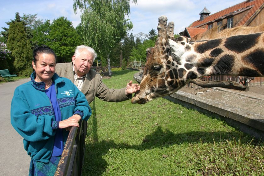 Hanna i Antoni Gucwińscy