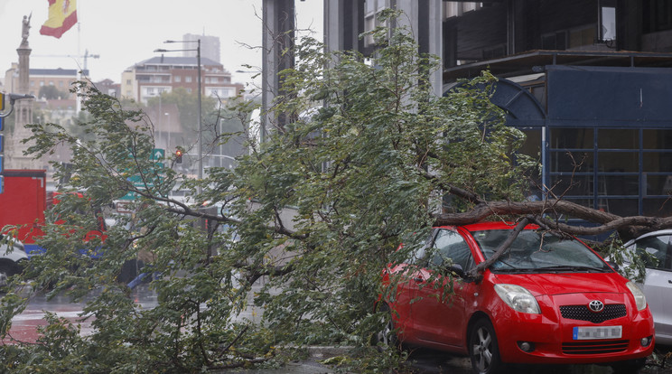 A Ciaran névre keresztelt vihar által egy autóra döntött fatörzs Madrid belvárosában 2023. november 2-án/Fotó: MTI/EPA/EFE/Juan Carlos Hidalgo