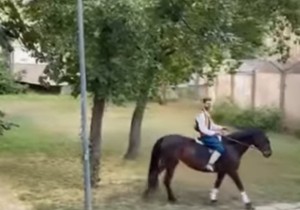 Prosidba u Novom Sadu 