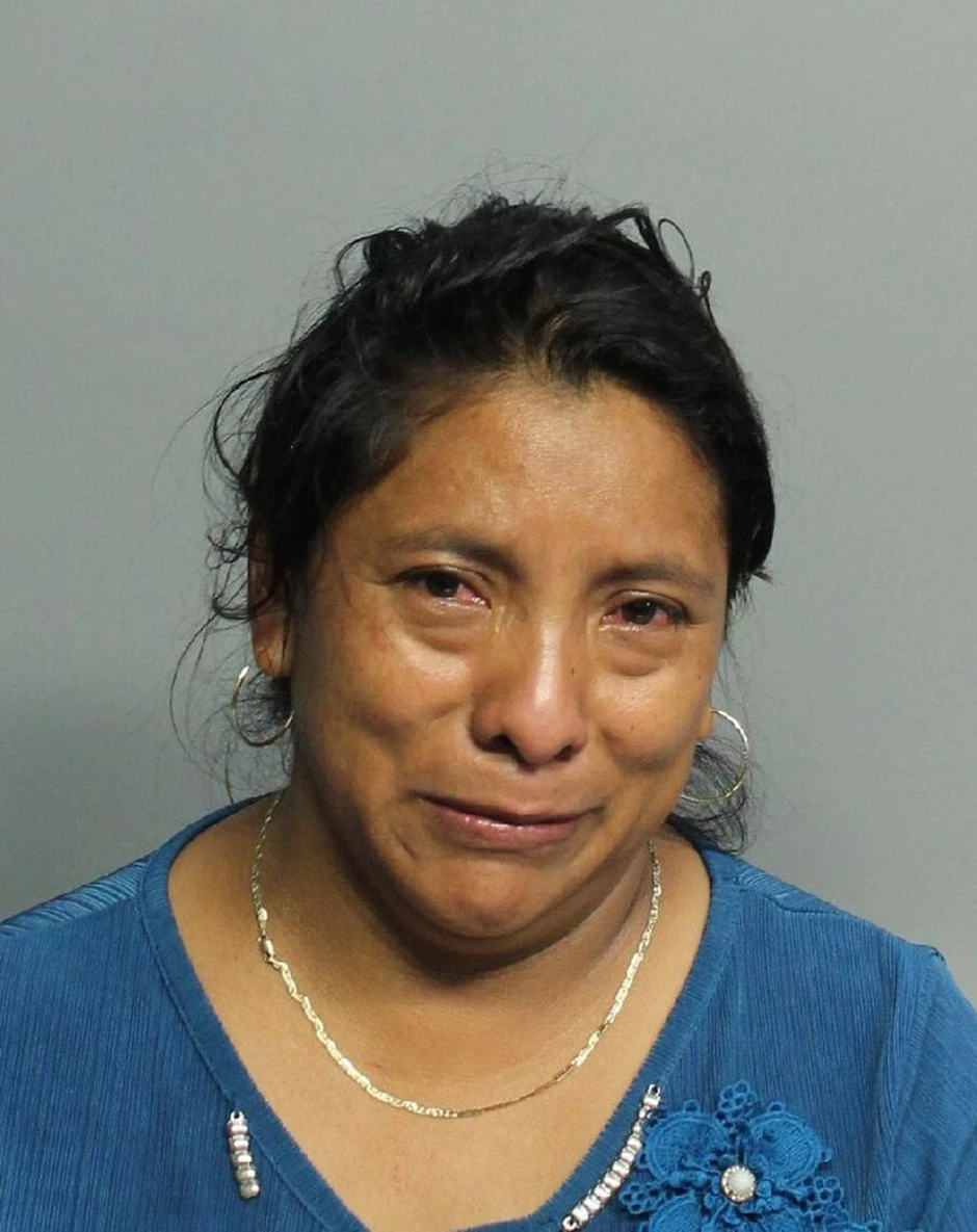 Huana Perez-Domingo je ušla u kuću u jutarnjim satima, a tek oko 15 časova je shvatila da je dete ostalo u automobilu