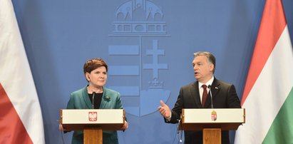 Skandal przed spotkaniem Szydło z Orbanem. Co się stało?