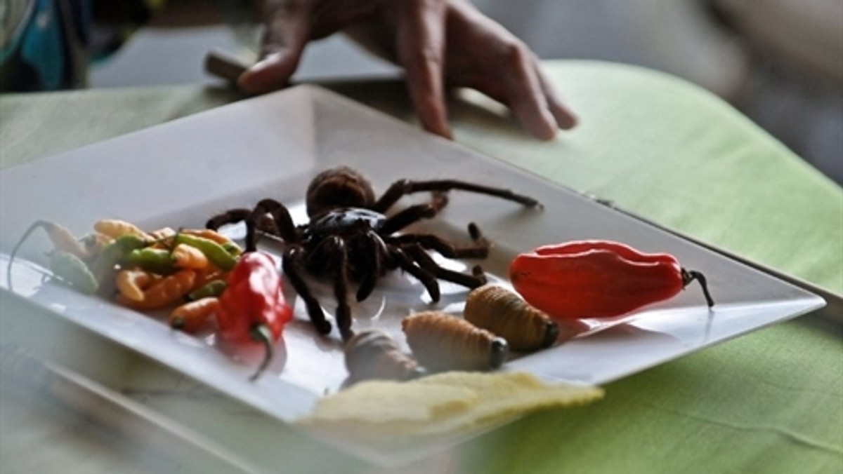 VENEZUELA - GASTRONOMY - MENDEZ - SPIDER