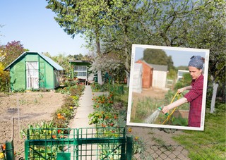 Miliony na działki ROD. Zobacz na co i ile można dostać dofinansowania