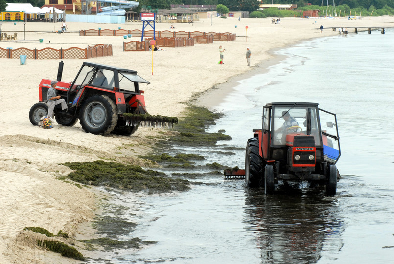 Czyszczenie plaży w Sopocie