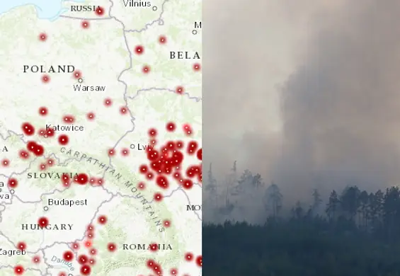 Płonie nie tylko Syberia. Mapa pożarów pokazuje, które kraje ciągle walczą z ogniem