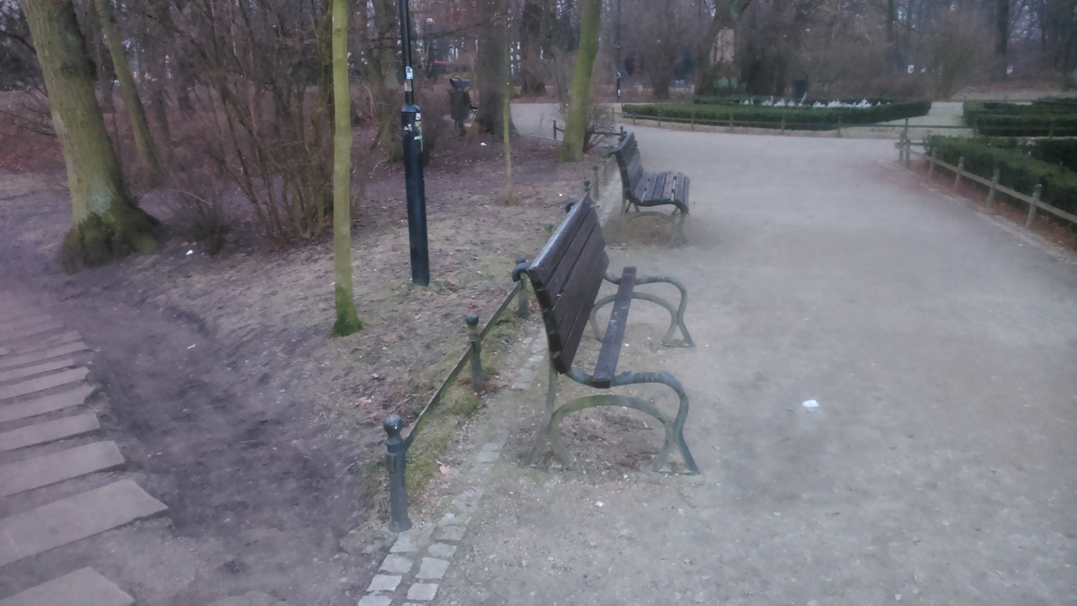 Zdewastowali ławki, połamali młode kasztanowce, a lipę, którą wyrwali z ziemi razem z korzeniami wrzucili do wody. Policjanci z Wrocławia szukają wandali, którzy już dwukrotnie dokonali zniszczeń w Parku Południowym.