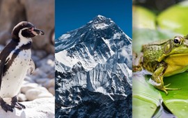 szybki-quiz-z-wiedzy-ogolnej-dla-orlow-sprawdz-czy-nalezysz-do-tego-grona