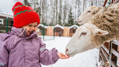 ferie zimowe 2026: nie zakopane czy karpacz, ale mniejsze ośrodki są t