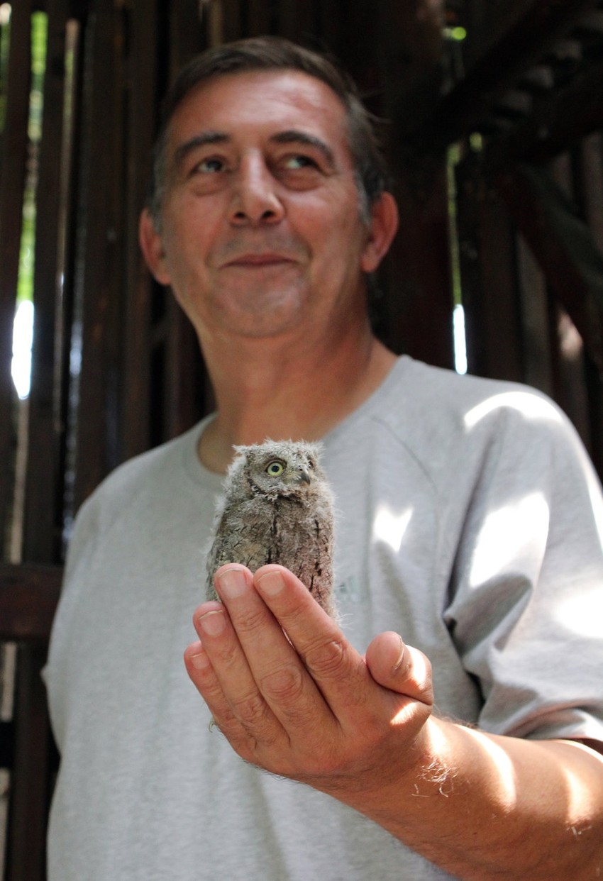 Ptice imaju redovan nadzor veterinara koji brine o njihovom razvoju