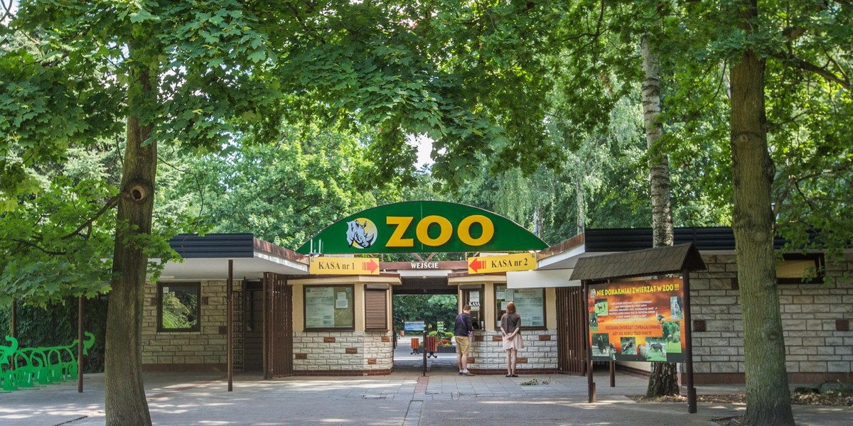 Zoo w Poznaniu