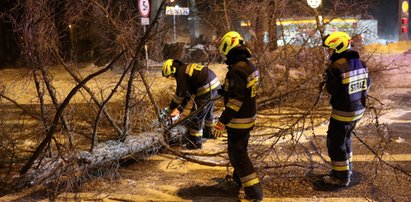 Wichura szaleje w Zakopanem. Powalone drzewa i uszkodzone dachy