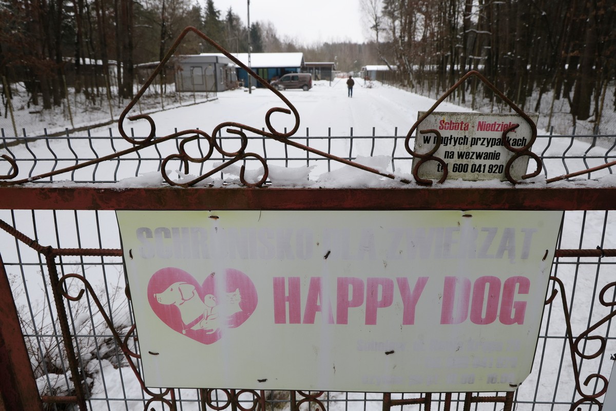 Schronisko dla zwierząt "Happy Dog"