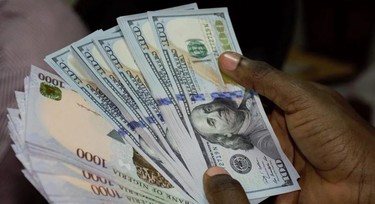 Stakeholders blame unstable FX rates as cargo imports drop by 65%