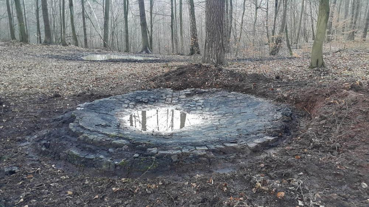 Tajemnicze kamienne kręgi, prawdopodobnie służące do wypalania rudy darniowej, odsłonili leśnicy z Nadleśnictwa Lidzbark. "Sarniogórskie Stonehenge", znajdujące się na terenie Regionalnej Dyrekcji Lasów Państwowych w Olsztynie, zostało odkryte w latach 90. XX wieku.