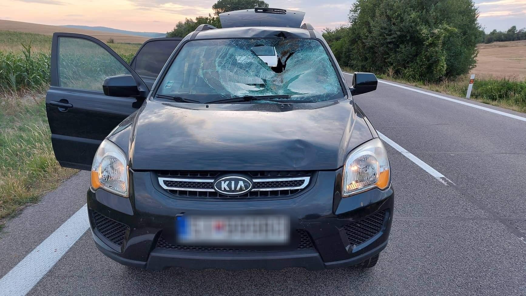 Dve autá sa zrazili so srnou, tá skončila v interiéri automobilu.