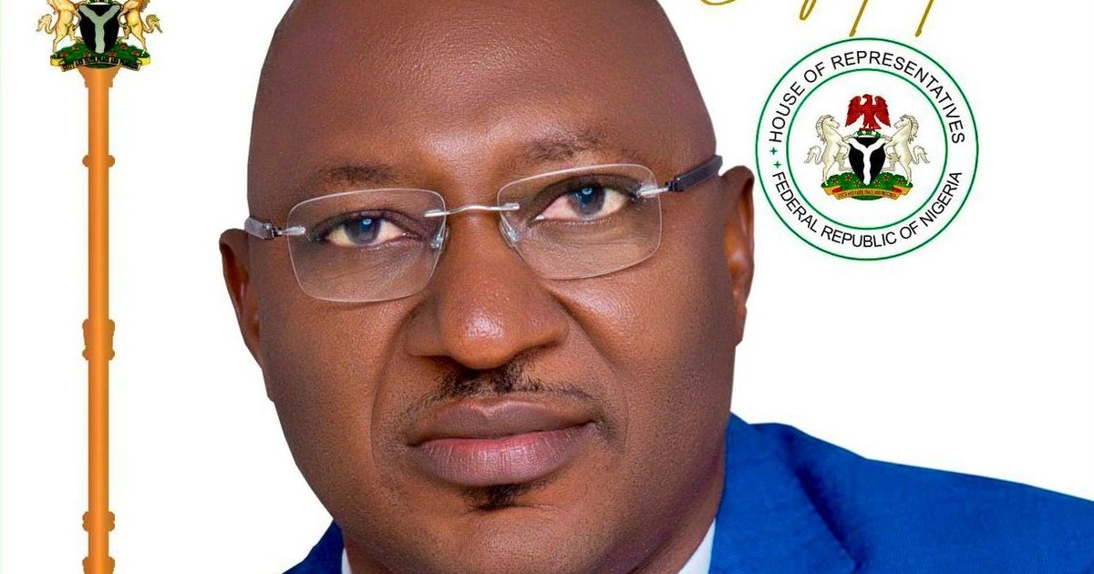 Labour Party loses Rep seat as Enugu tribunal declares PDP candidate winner - Vimarsana News