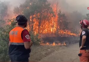 10 vatrogasaca poginulo u požaru u Turskoj