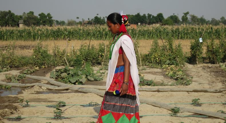 With men gone, women shake up farming in rural Nepal