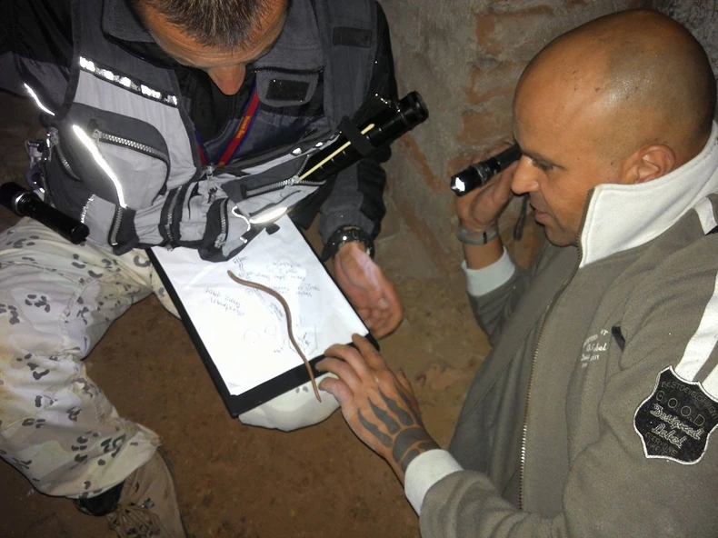 Živi svet: Istraživači nabasali i na živa bića