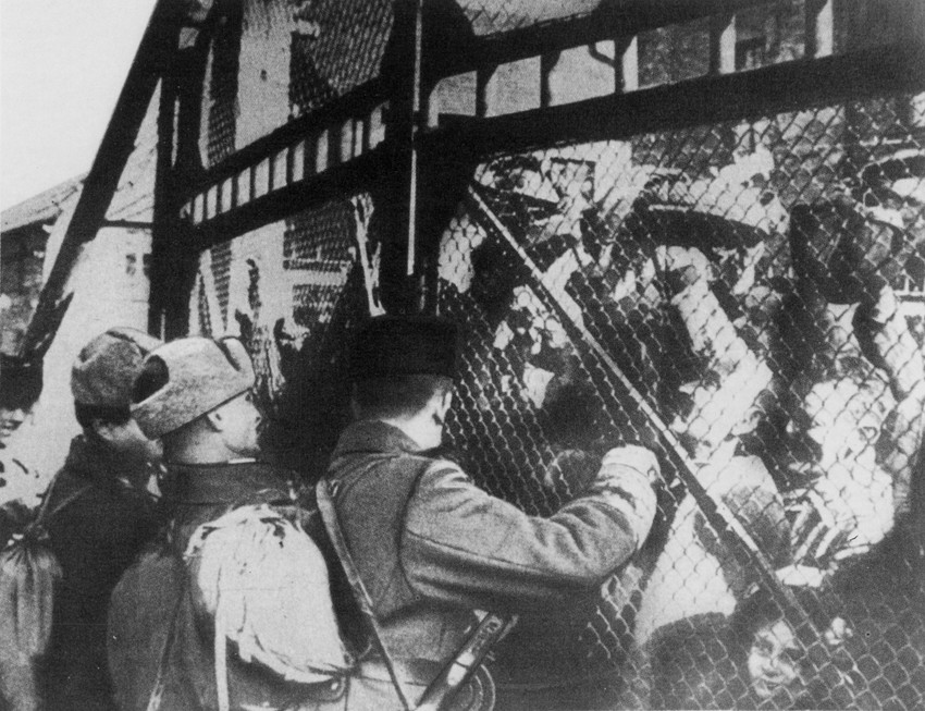 Aušvic, oslobađanje