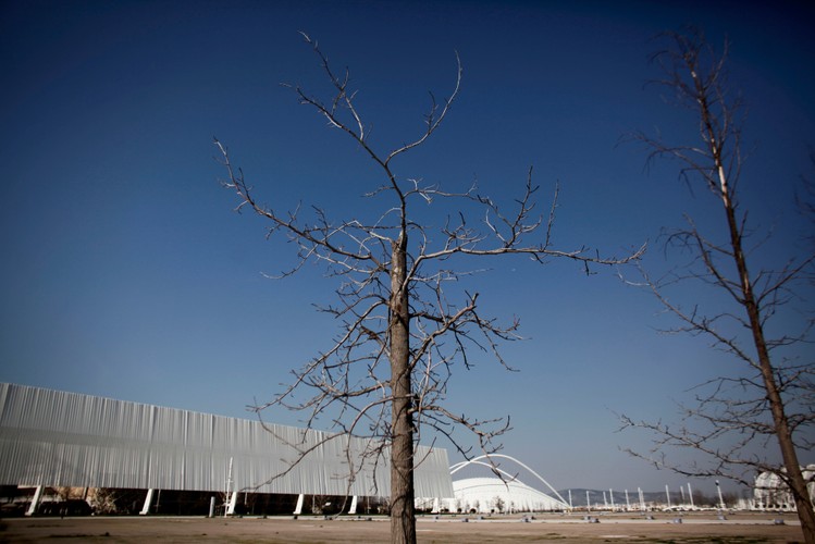 8 lat po Olimpiadzie w Grecji w 2004 r. Martwe drzewa na terenie głównego kompleksu olimpijskiego w Atenach.