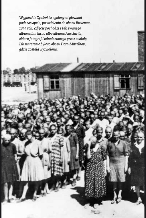 Węgierskie Żydówki podczas apelu w obozie Birkenau