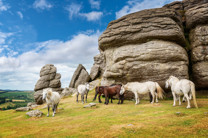 Dartmoor