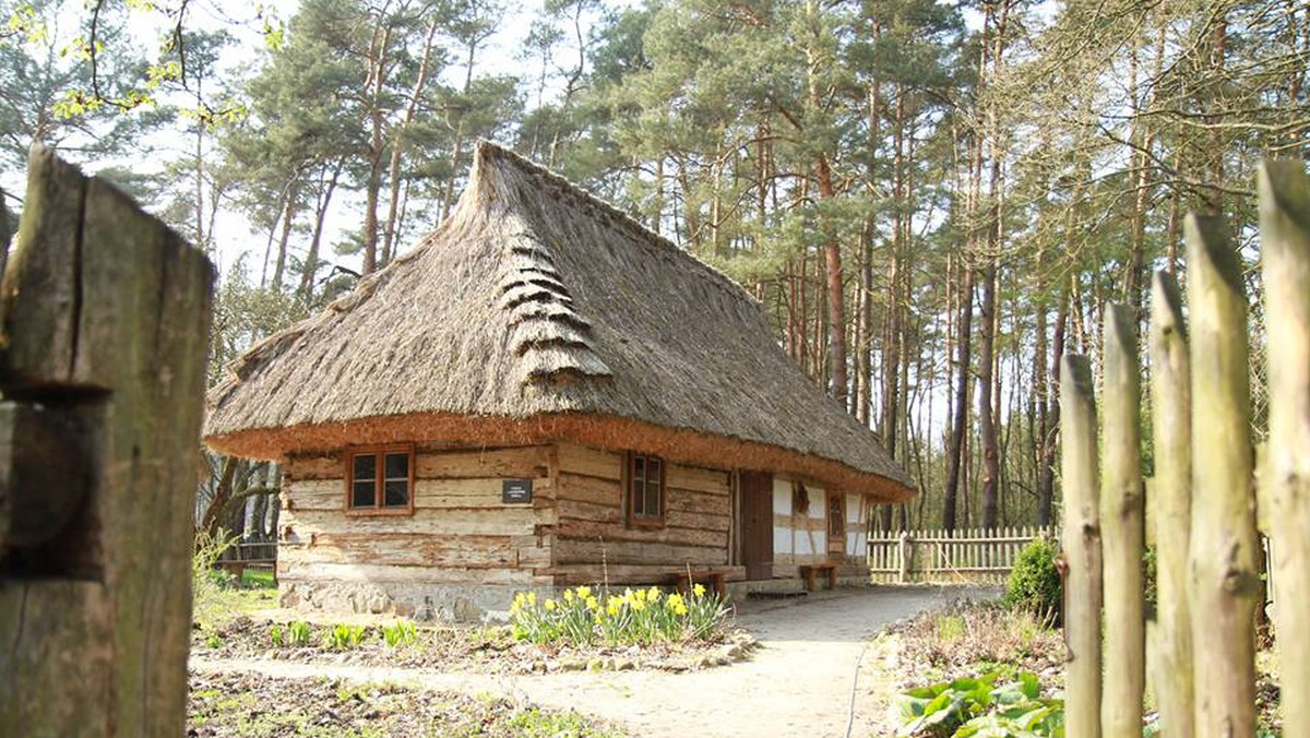 "Ginące zawody i umiejętności” – to cykliczna impreza organizowana przez Muzeum Etnograficzne w Zielonej Górze/Ochli. Kolejna jej odsłona odbędzie się w przyszłym tygodniu. Na pięć dni skansen zamieni się w miejsce pracy gospodyń, gospodarzy, twórców i rzemieślników wykonujących dawne, wiejskie zajęcia.