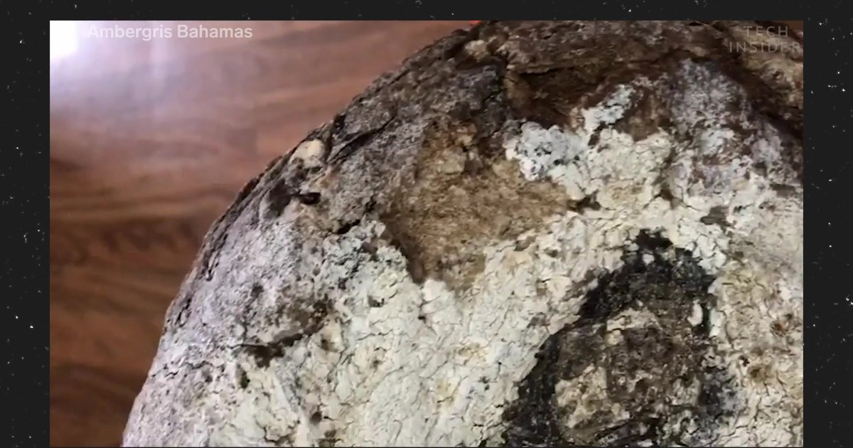 Some highend perfumes use a rare type of whale poop that costs more