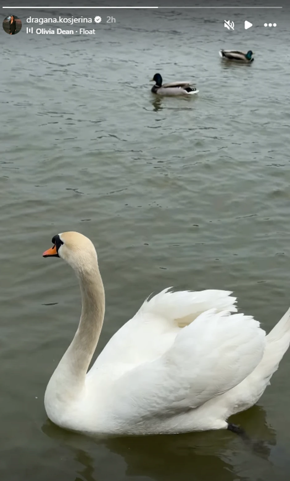 Dragana Kosjerina pokazala kako uživa