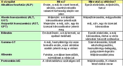 Mennyi a normál vércukorszint? Ezt jelenti a magas és az alacsony vércukorszint