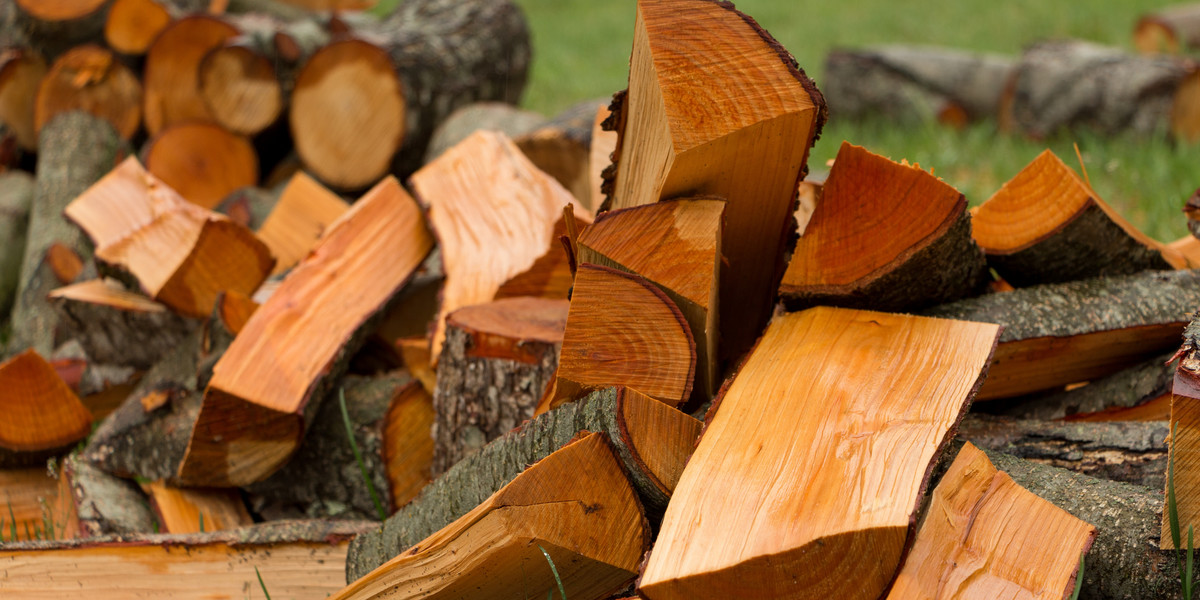 Wzrost cen drewna w Polsce i na świecie