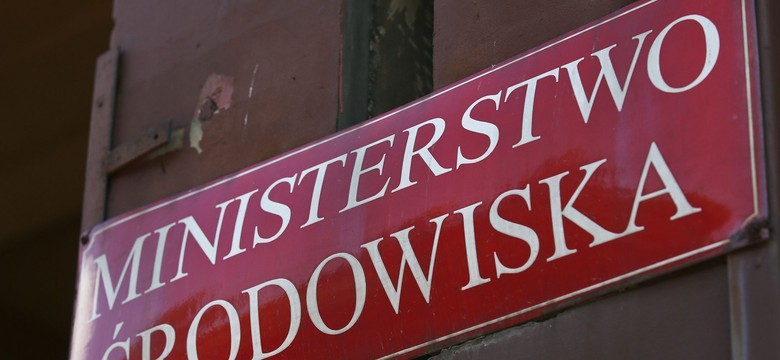 Pisała o Tusku i szubienicy. Już nie jest dyrektorem w resorcie środowiska