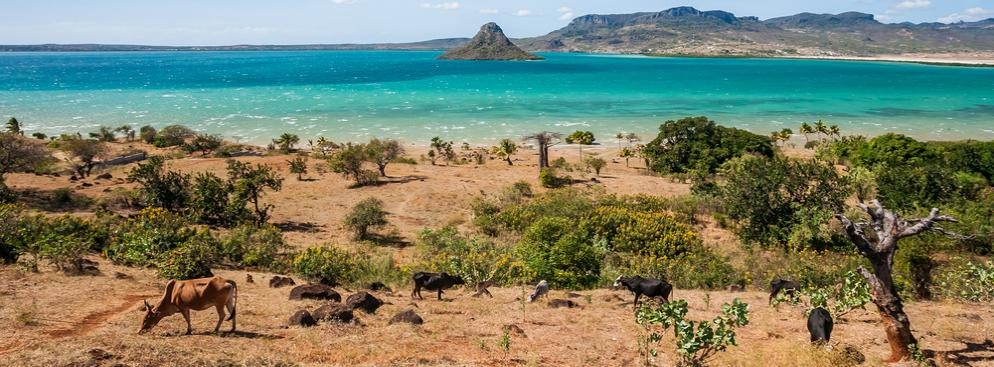Madagaskar – zakazany jest wywóz za granicę chronionych gatunków fauny (np. żółwi, węży; lemurów) oraz flory (np. orchidei).<br /><br />