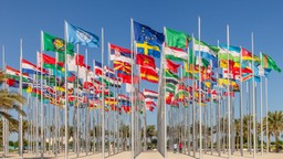 trudny quiz geograficzny: flagi państw świata. rozpoznasz je wszystkie