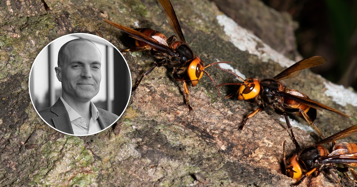 Ojciec i syn zmarli na tropikalnych wakacjach. "20 lat jestem lekarzem i nie widziałem czegoś takiego"